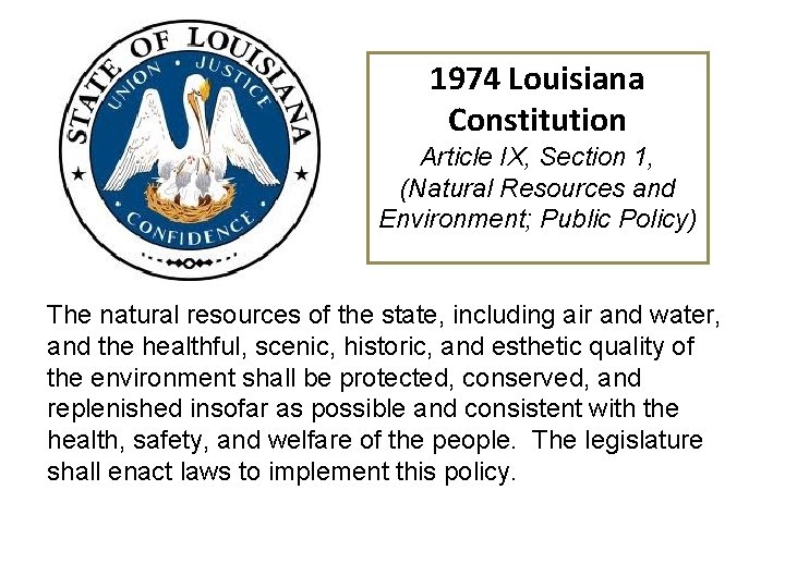 1974 Louisiana Constitution Article IX, Section 1, (Natural Resources and Environment; Public Policy) The