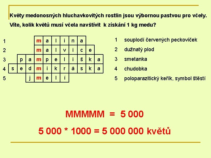 Květy medonosných hluchavkovitých rostlin jsou výbornou pastvou pro včely. Víte, kolik květů musí včela