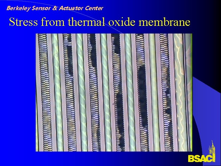 Berkeley Sensor & Actuator Center Stress from thermal oxide membrane Berkeley Sensor & Actuator Center Stress from thermal oxide membrane