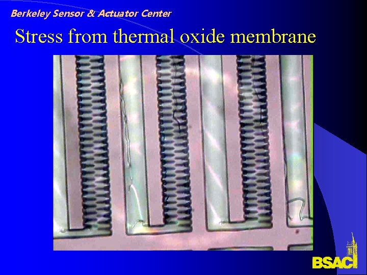 Berkeley Sensor & Actuator Center Stress from thermal oxide membrane Berkeley Sensor & Actuator Center Stress from thermal oxide membrane