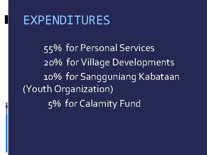 EXPENDITURES 55% for Personal Services 20% for Village Developments 10% for Sangguniang Kabataan (Youth