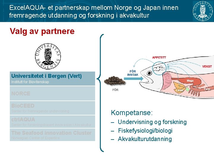 Excel. AQUA- et partnerskap mellom Norge og Japan innen fremragende utdanning og forskning i