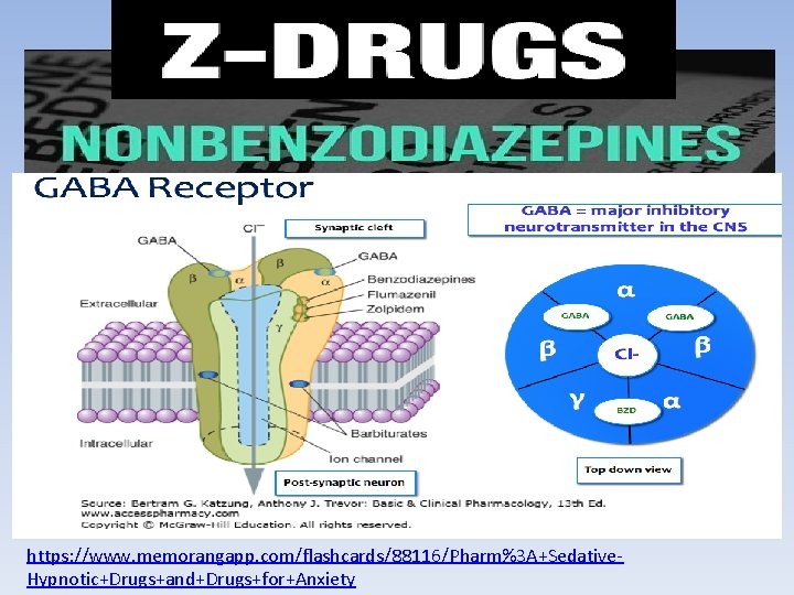 https: //www. memorangapp. com/flashcards/88116/Pharm%3 A+Sedative. Hypnotic+Drugs+and+Drugs+for+Anxiety 