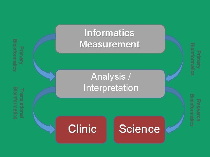 Research Bioinformatics Science Clinic Primary Bioinformatics Translational Bioinformatics Analysis / Interpretation Primary Bioinformatics Informatics