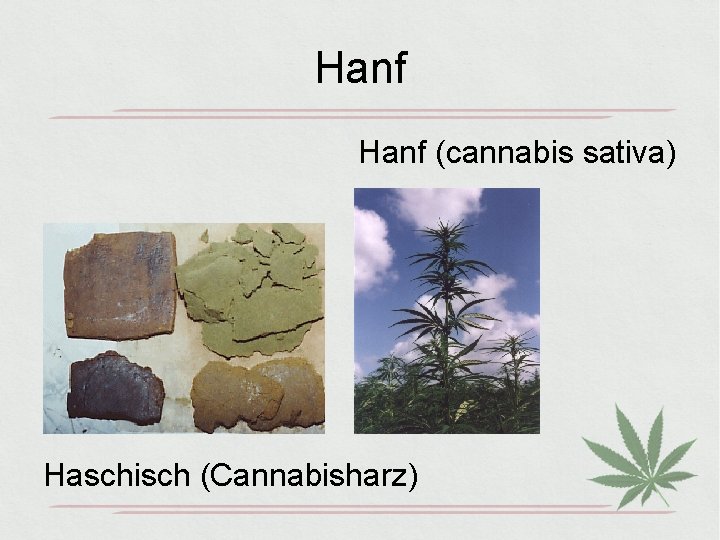 Hanf (cannabis sativa) Haschisch (Cannabisharz) 