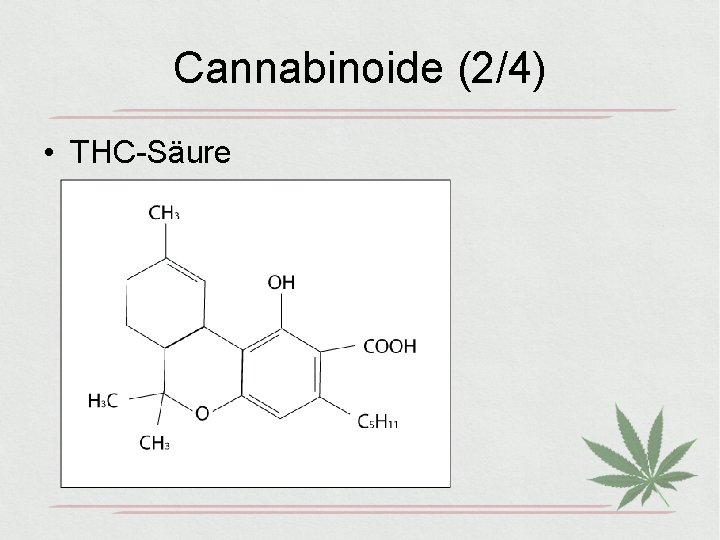 Cannabinoide (2/4) • THC-Säure 