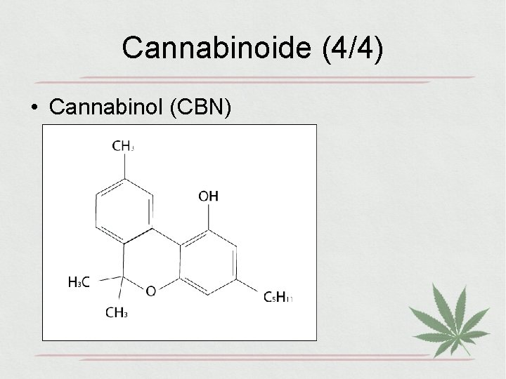 Cannabinoide (4/4) • Cannabinol (CBN) 