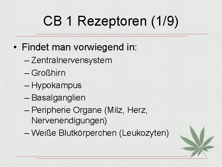 CB 1 Rezeptoren (1/9) • Findet man vorwiegend in: – Zentralnervensystem – Großhirn –