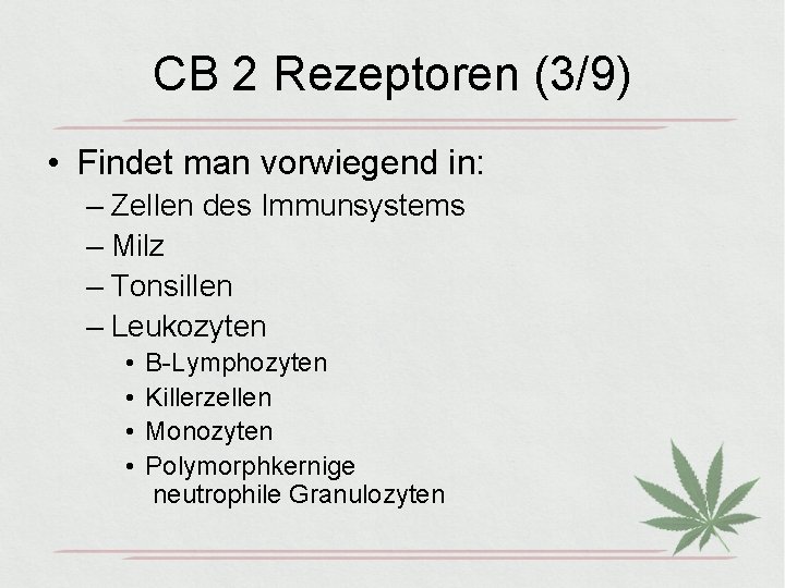 CB 2 Rezeptoren (3/9) • Findet man vorwiegend in: – Zellen des Immunsystems –