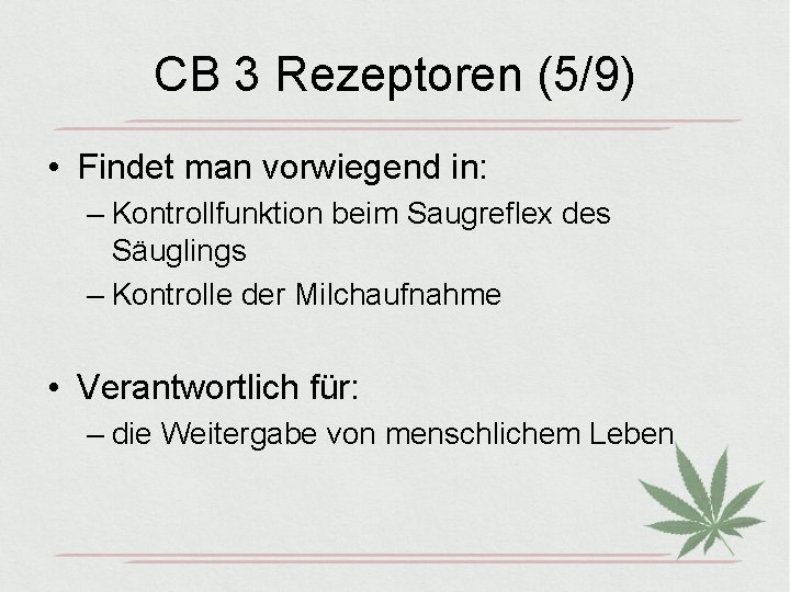 CB 3 Rezeptoren (5/9) • Findet man vorwiegend in: – Kontrollfunktion beim Saugreflex des