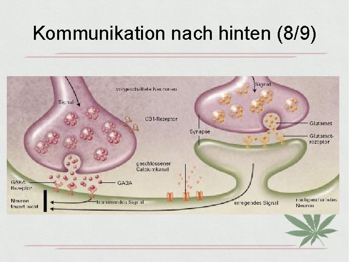 Kommunikation nach hinten (8/9) 