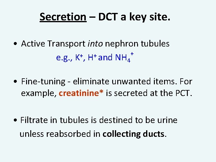 Secretion – DCT a key site. • Active Transport into nephron tubules + +