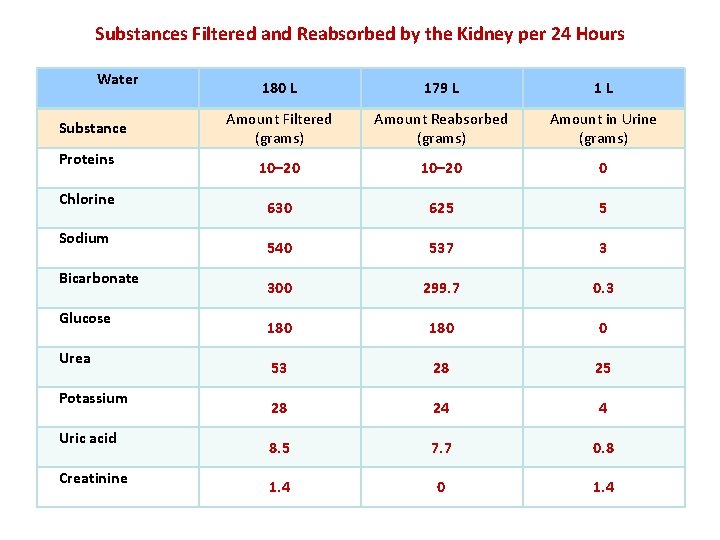 Substances Filtered and Reabsorbed by the Kidney per 24 Hours Water Substance Proteins Chlorine