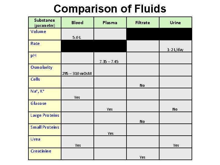Comparison of Fluids Substance (parameter) Blood Plasma Filtrate Urine Volume 5. 0 L Rate