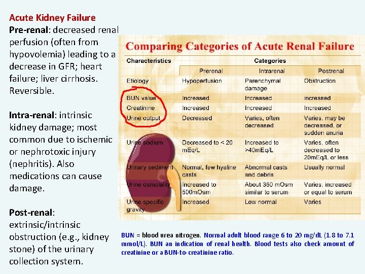 Acute Kidney Failure Pre-renal: decreased renal perfusion (often from hypovolemia) leading to a decrease