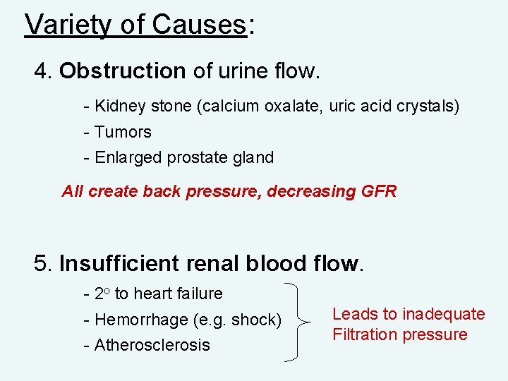 Variety of Causes: 4. Obstruction of urine flow. - Kidney stone (calcium oxalate, uric