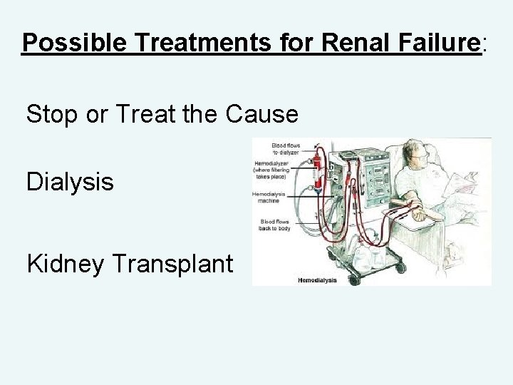 Possible Treatments for Renal Failure: Stop or Treat the Cause Dialysis Kidney Transplant 