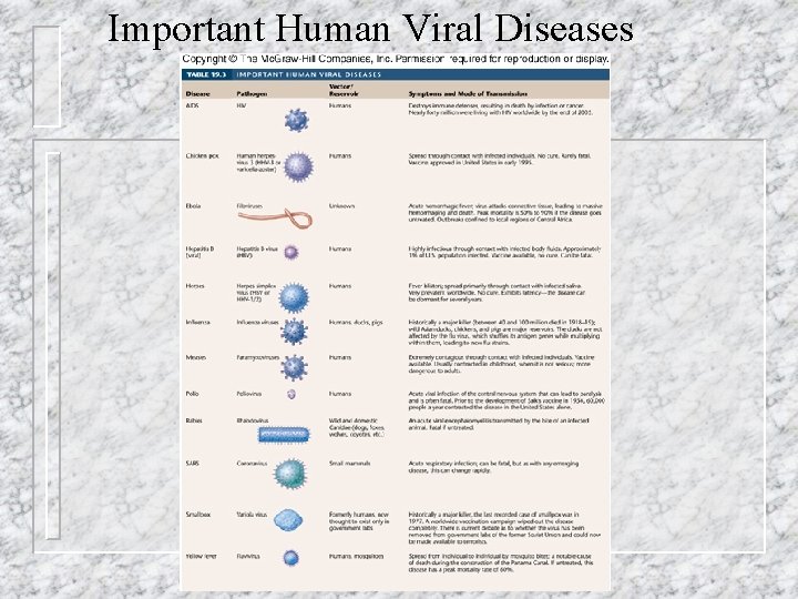 Important Human Viral Diseases 