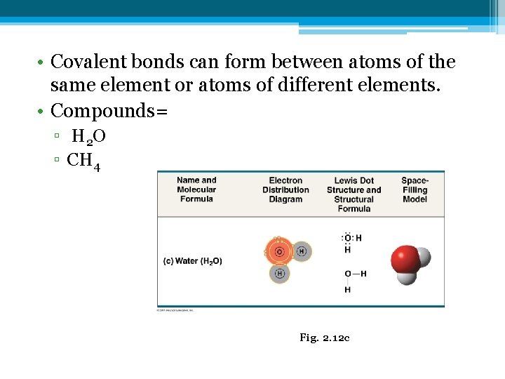  • Covalent bonds can form between atoms of the same element or atoms