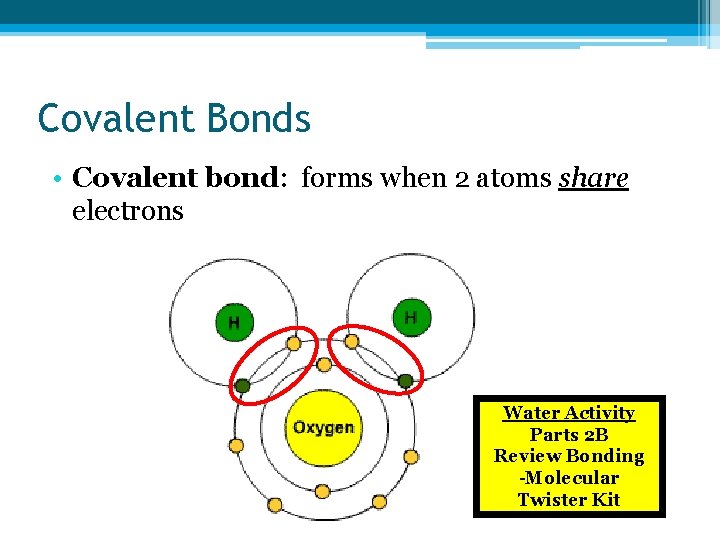 Covalent Bonds • Covalent bond: forms when 2 atoms share electrons Water Activity Parts