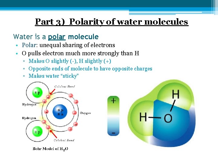 Part 3) Polarity of water molecules Water is a polar molecule • Polar: unequal