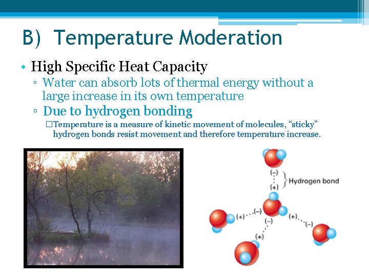 B) Temperature Moderation • High Specific Heat Capacity ▫ Water can absorb lots of