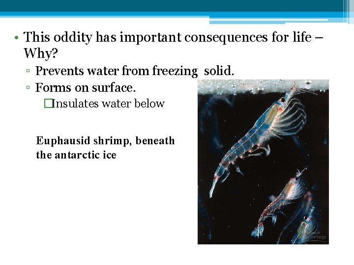  • This oddity has important consequences for life – Why? ▫ Prevents water