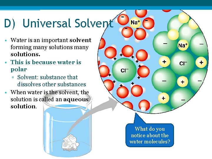 - - D) Universal Solvent - • Water is an important solvent forming many