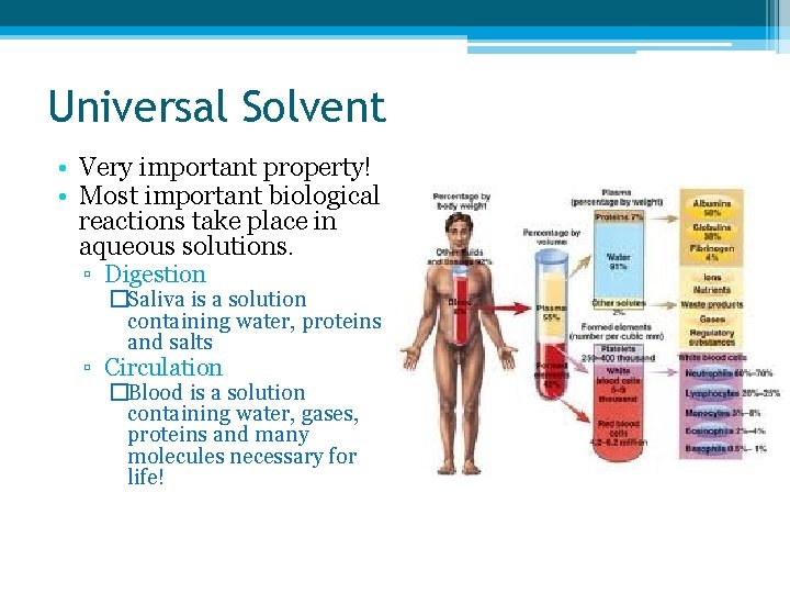 Universal Solvent • Very important property! • Most important biological reactions take place in
