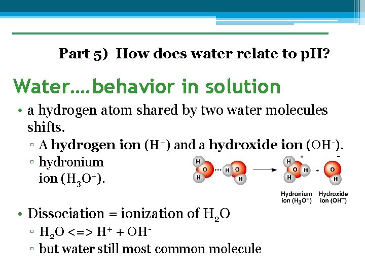 Part 5) How does water relate to p. H? Water…. behavior in solution •
