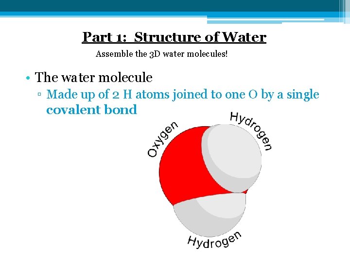 Part 1: Structure of Water Assemble the 3 D water molecules! • The water