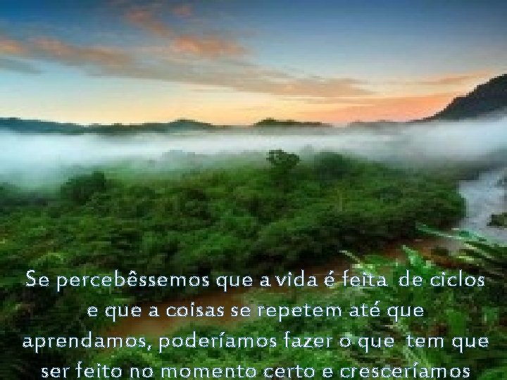 Se percebêssemos que a vida é feita de ciclos e que a coisas se