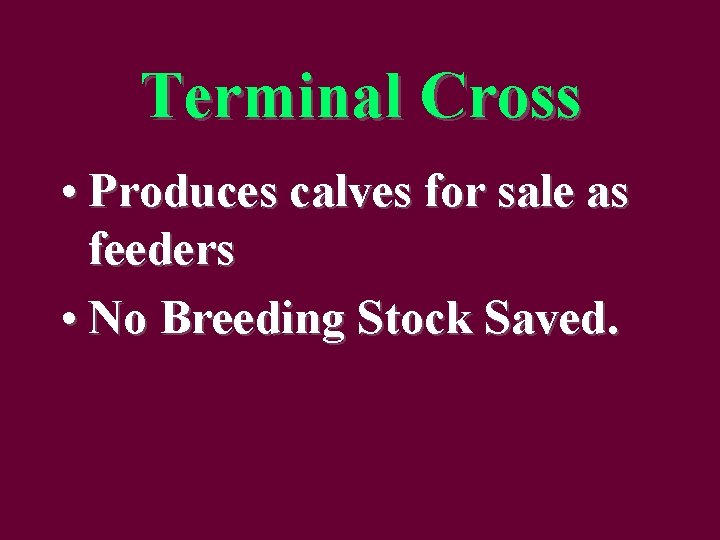 Terminal Cross • Produces calves for sale as feeders • No Breeding Stock Saved.
