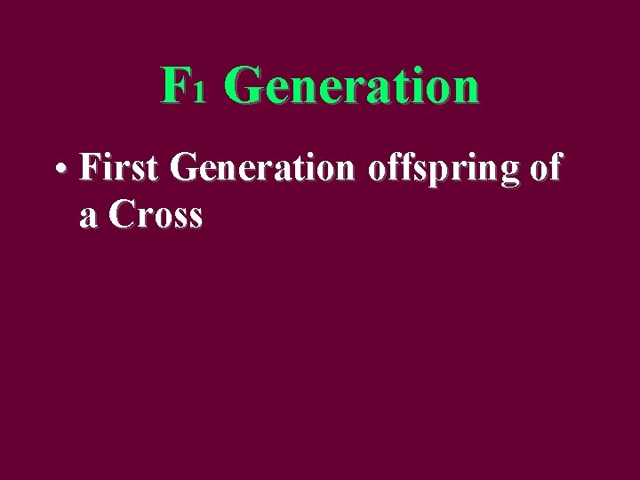F 1 Generation • First Generation offspring of a Cross 