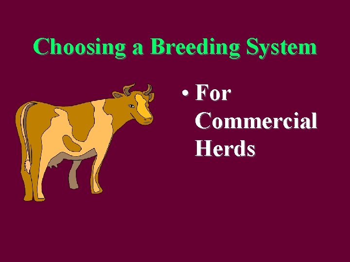 Choosing a Breeding System • For Commercial Herds 