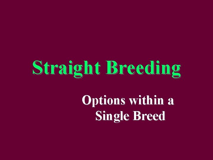 Straight Breeding Options within a Single Breed 