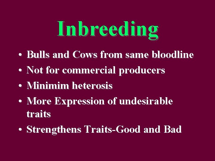 Inbreeding • • Bulls and Cows from same bloodline Not for commercial producers Minimim