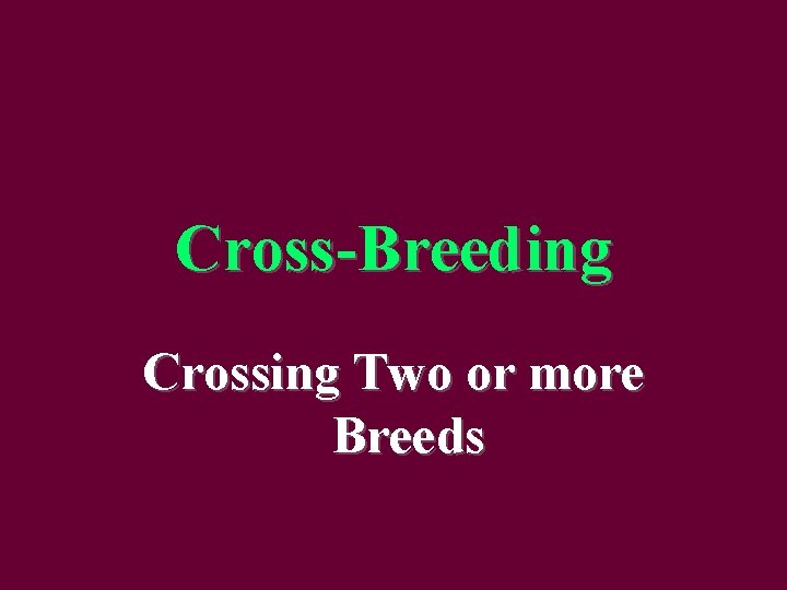 Cross-Breeding Crossing Two or more Breeds 