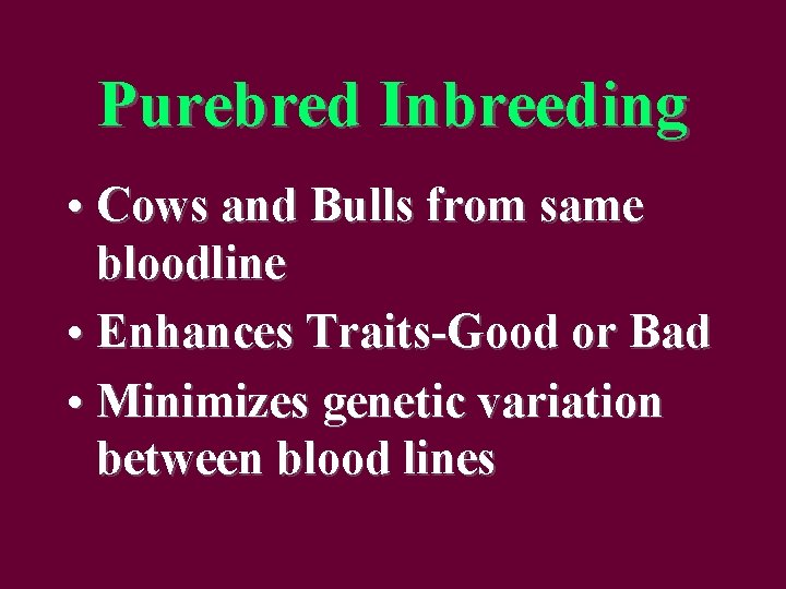 Purebred Inbreeding • Cows and Bulls from same bloodline • Enhances Traits-Good or Bad