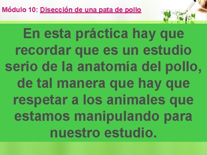 Módulo 10: Disección de una pata de pollo En esta práctica hay que recordar