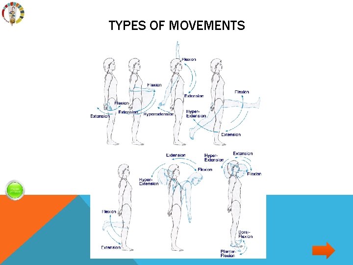 TYPES OF MOVEMENTS 