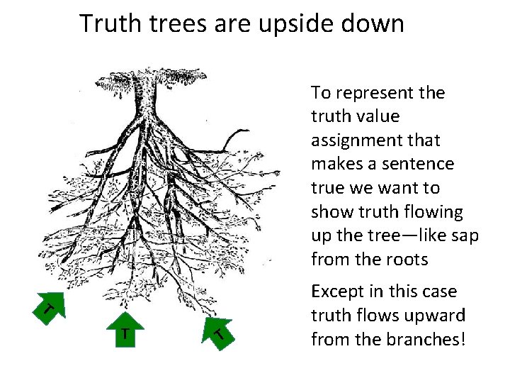 Truth trees are upside down To represent the truth value assignment that makes a