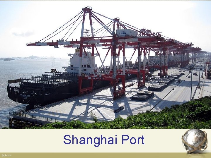 Shanghai Port 