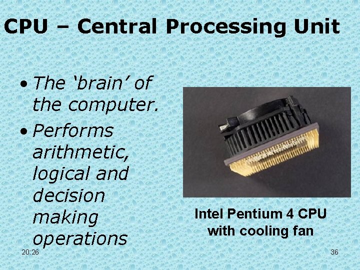 CPU – Central Processing Unit • The ‘brain’ of the computer. • Performs arithmetic, CPU – Central Processing Unit • The ‘brain’ of the computer. • Performs arithmetic,