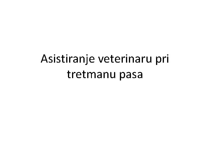 Asistiranje veterinaru pri tretmanu pasa 