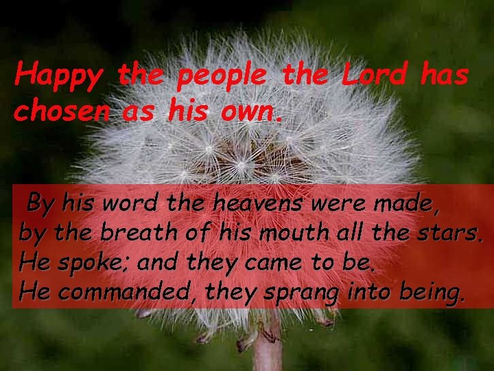 Happy the people the Lord has chosen as his own. By his word the