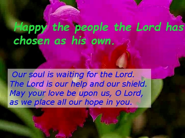 Happy the people the Lord has chosen as his own. Our soul is waiting