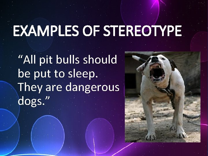 EXAMPLES OF STEREOTYPE “All pit bulls should be put to sleep. They are dangerous