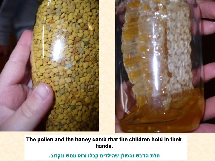 The pollen and the honey comb that the children hold in their hands. .