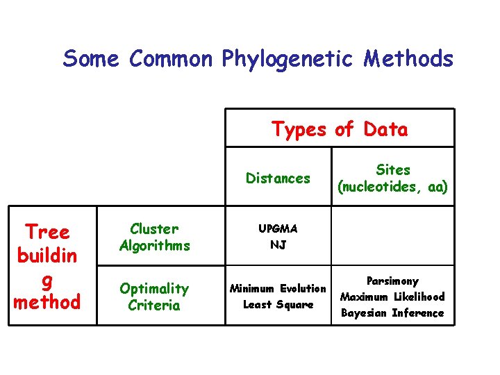 Some Common Phylogenetic Methods Types of Data Distances Tree buildin g method Cluster Algorithms